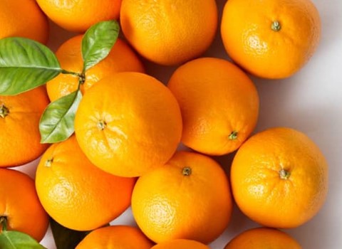 خرید پرتقال محلی شمال + قیمت فروش استثنایی